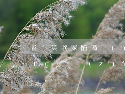 普寧英歌深陷商標(biāo)爭(zhēng)奪戰(zhàn)，非遺知識(shí)產(chǎn)權(quán)保護(hù)空白如何填補(bǔ)？